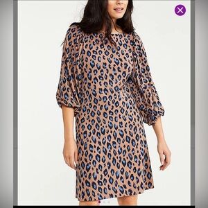 ann taylor women dress XXS Petite